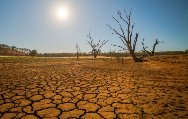 Save the environment to save Life. Save the environment to save Life.