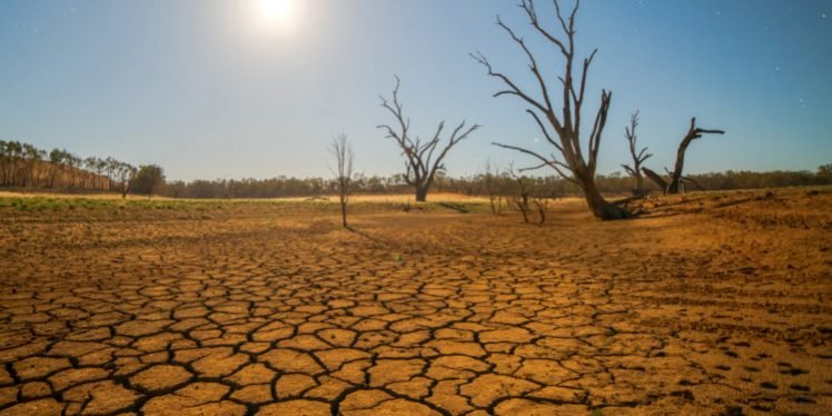 Save the environment to save Life. Save the environment to save Life.